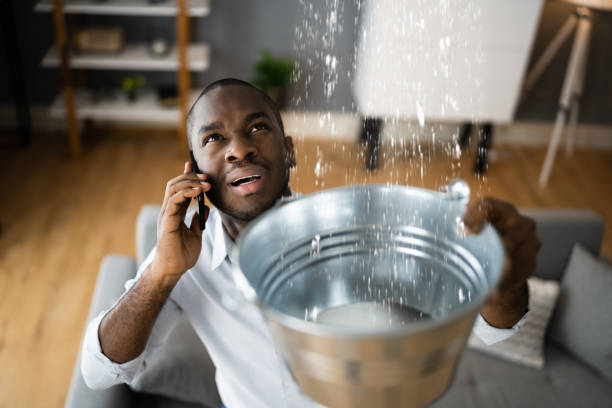 Best Water damage cleanup near me  in Elsmere, DE