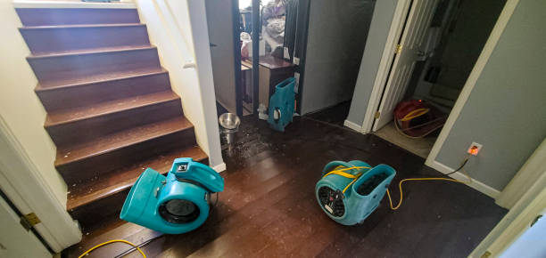 Local water damage restoration in Elsmere, DE