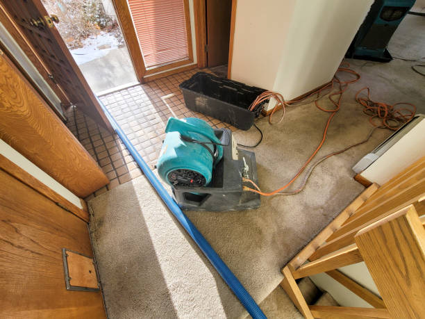 Best 24-hour water damage restoration  in Elsmere, DE