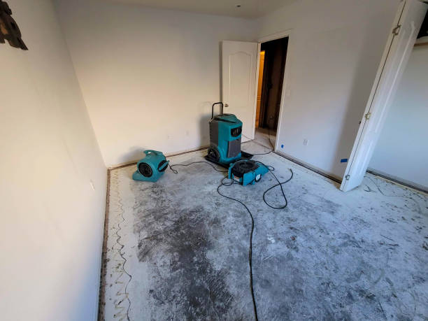 Best Emergency water extraction  in Elsmere, DE