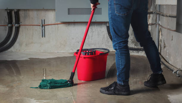 Best Water damage restoration cost  in Elsmere, DE