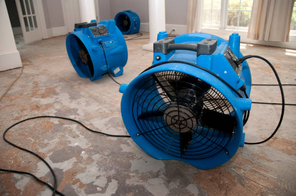 Trusted Elsmere, DE Water damage restoration Experts