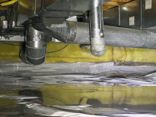 Best Professional water damage repair  in Elsmere, DE