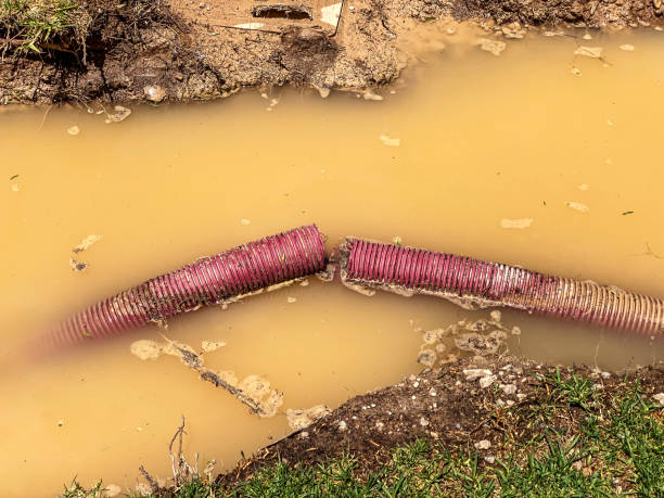 Water damage restoration process in Elsmere, DE